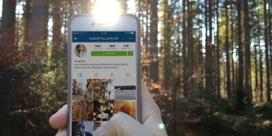 Beitragsbild des Blogbeitrags Meine Instagram-Empfehlungen für 2016