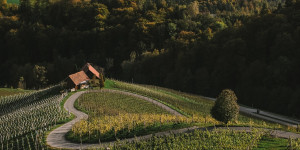 Beitragsbild des Blogbeitrags Wein, Natur & Genuss: Herbsturlaub in der Südsteiermark