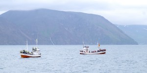 Beitragsbild des Blogbeitrags Roadtrip durch Island | Tag 10: Whale Watching in Húsavik & Akureyri 