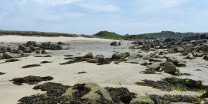 Beitragsbild des Blogbeitrags Sneak peek: Guernsey – Verstecktes Juwel im Ärmelkanal 