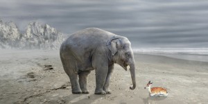 Beitragsbild des Blogbeitrags Corona im Herbst 2020
