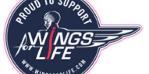 Beitragsbild des Blogbeitrags Wings For Life Run 2018 in Neunkirchen/St. Egyden