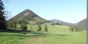 Beitragsbild des Blogbeitrags Wiener Hausberge: Öhler/Schober 