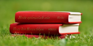 Beitragsbild des Blogbeitrags Mit Optimismus lebt es sich besser