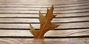 Beitragsbild des Blogbeitrags Selbstständig im Internet, gibt es noch Nischen Themen? 