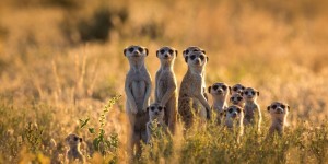 Beitragsbild des Blogbeitrags Ist es überhaupt möglich, sich jetzt auf irgendetwas zu konzentrieren?