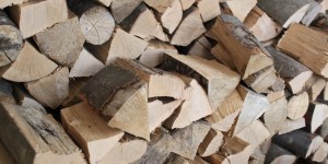 Beitragsbild des Blogbeitrags Bioenergy Community trifft sich in Graz