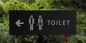 Beitragsbild des Blogbeitrags Schon mal den Blick in die Toilette gewagt? Tipps zur Stuhlanalyse 