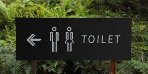 Beitragsbild des Blogbeitrags Schon mal den Blick in die Toilette gewagt? Tipps zur Stuhlanalyse