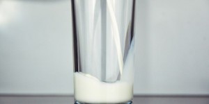 Beitragsbild des Blogbeitrags Die Sache mit der Milch – gesund oder nicht?