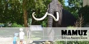 Beitragsbild des Blogbeitrags {UNTERWEGS} MAMUZ Schloss Asparn/Zaya