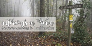 Beitragsbild des Blogbeitrags {unterwegs} in Wien: Stadtwanderweg 8 – Sophienalpe