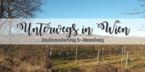 Beitragsbild des Blogbeitrags {unterwegs} in Wien: Stadtwanderweg 5 – Bisamberg