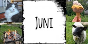 Beitragsbild des Blogbeitrags Was war los bei MissXoxolat – Juni 2020