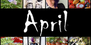 Beitragsbild des Blogbeitrags Was war los bei MissXoxolat – April 2021