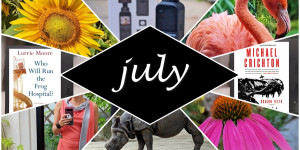 Beitragsbild des Blogbeitrags Monatsrückblick Juli 2022