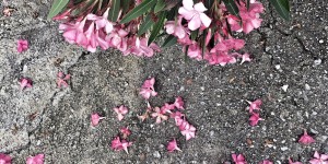Beitragsbild des Blogbeitrags Yoga-Newsletter im Mai
