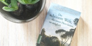 Beitragsbild des Blogbeitrags YOGA & BOOKS: Die schönere Welt, die unser Herz kennt, ist möglich – Charles Eisenstein