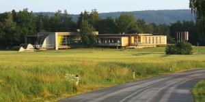 Beitragsbild des Blogbeitrags Was Frida Kahlo mit dem Nationalparkhaus Thayatal zu schaffen hat: ein Ausflug zu den Wildkatzen 