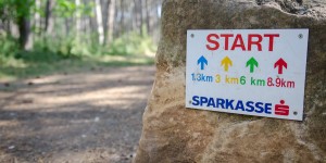 Beitragsbild des Blogbeitrags Auf der Laufstrecke im Föhrenwald