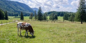 Beitragsbild des Blogbeitrags Wanderung zur Maumauwiese und dem Sebastianwasserfall 