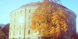 Beitragsbild des Blogbeitrags Die pathologisch-anatomische Sammlung im Narrenturm – ein Museum für Hartgesottene