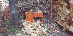 Beitragsbild des Blogbeitrags Bau‘ ein Igelhaus als Winterquartier für Igel    