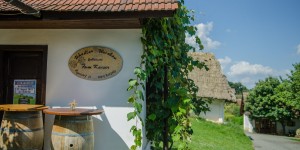 Beitragsbild des Blogbeitrags Zu Besuch im Kellerviertel Heiligenbrunn – oder im schönsten Ort des Burgenlands