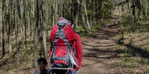 Beitragsbild des Blogbeitrags Waldexpedition und kurze Wanderung mit Hohe Wand Blick