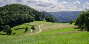 Beitragsbild des Blogbeitrags Die Mostrunde am Gutenmann – ein Spaziergang mit Aussicht