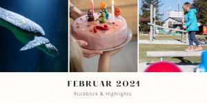 Beitragsbild des Blogbeitrags Februar 2021 – Rückblick & Highlights