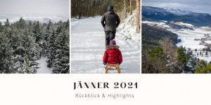 Beitragsbild des Blogbeitrags Jänner 2021 – Rückblick & Highlights