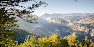 Beitragsbild des Blogbeitrags Winterwandern in den Wiener Alpen (2)