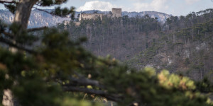 Beitragsbild des Blogbeitrags Unterwegs am Winzendorf Rundwanderweg C – einmal um Mitterberg und Dachenstein wandern 