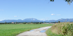 Beitragsbild des Blogbeitrags Bezirk Wiener Neustadt Land: Ausflüge und Auszeiten in der Natur