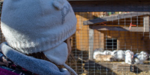 Beitragsbild des Blogbeitrags Tierische Ausflugsziele in Niederösterreich abseits von Zoos