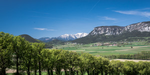 Beitragsbild des Blogbeitrags Winzendorf: Zwei Tage Urlaub vor der Haustür