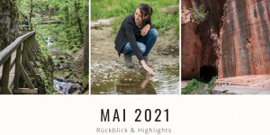 Beitragsbild des Blogbeitrags Mai 2021 – Rückblick und Highlights