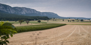 Beitragsbild des Blogbeitrags Spaziergang mit Schatzsuche: Die Fruchtfreunde Runde in Zweiersdorf 