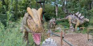 Beitragsbild des Blogbeitrags Ein Ausflug in den Dino Park und die Schmetterlingswelt Tattendorf 