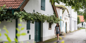 Beitragsbild des Blogbeitrags Genussvoll wandern: Vier wanderbare Wirte in Niederösterreich 