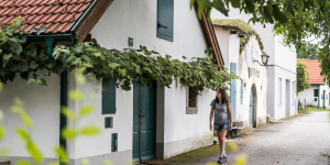 Beitragsbild des Blogbeitrags Genussvoll wandern: Vier wanderbare Wirte in Niederösterreich