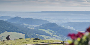 Beitragsbild des Blogbeitrags Aussichtsreiche Wanderung aufs Gelände bei Grünbach 