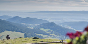 Beitragsbild des Blogbeitrags Aussichtsreiche Wanderung aufs Gelände bei Grünbach
