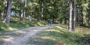 Beitragsbild des Blogbeitrags Am Kindererlebnisweg durch den Hexenwald auf der Hohen Wand spazieren 