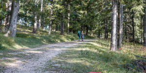 Beitragsbild des Blogbeitrags Am Kindererlebnisweg durch den Hexenwald auf der Hohen Wand spazieren