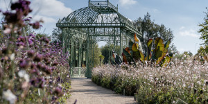 Beitragsbild des Blogbeitrags Familienausflug in die Blumengärten Hirschstetten 