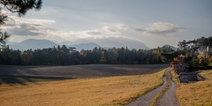 Beitragsbild des Blogbeitrags Herbstlicher Spaziergang auf der Zweier Wald Runde bei Höflein