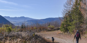 Beitragsbild des Blogbeitrags Am Dürrnberg zum Lärbaumkreuz wandern – ein schöner Rundwandeweg bei Würflach 