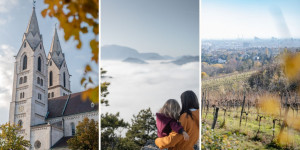 Beitragsbild des Blogbeitrags November 2021 – Rückblick und Highlights